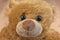 Ty Classic Baby Paws Brown 2011 Beanbag Plush