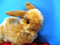 Combined Marketing Brown Bunny Plush