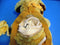 Jeep Tan Brown Dog Child Harness Backpack