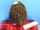 ABC Bakers Hedgehog Plush