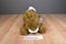 Brown and White Bunny Rabbit with Yellow Rose Bow Plush