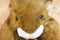 Brown and White Bunny Rabbit with Yellow Rose Bow Plush
