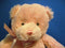 Baby Gund My First Teddy Pink Bear Plush