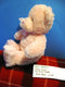 Baby Gund My First Teddy Pink Bear Plush