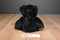 Giftable World Black and Brown Teddy Bear 2016 Beanbag Plush