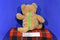AHQ Pet Sac Lion Cub Jungle Backpack