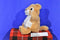 AHQ Pet Sac Lion Cub Jungle Backpack