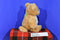 AHQ Pet Sac Lion Cub Jungle Backpack