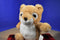AHQ Pet Sac Lion Cub Jungle Backpack