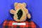 AHQ Pet Sac Lion Cub Jungle Backpack