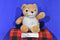 AHQ Pet Sac Lion Cub Jungle Backpack
