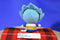 Just Toys Dragon Ball Z Super Saiyan God Blue Vegata Beanbag Plush
