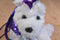 Poochie and Co. Westie Purple Sequins Plush Bag Purse
