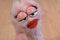 Dakin Garfield Arlene Pink Cat Girlfriend 1984 Plush