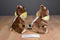 Disney Parks Chip and Dale Plush