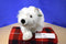 Wild Republic Cuddlekins White Arctic Fox 2005 Beanbag Plush