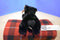 Bearington Bart Black Bear Beanbag Plush