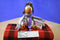 Disney Store Rescuers Down Under Orville Seagull Beanbag Plush