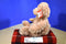 Gund Maxie Tan Teddy Bear Beanbag Plush