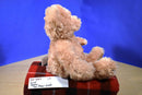 Gund Maxie Tan Teddy Bear Beanbag Plush