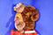 Fiesta Great Wolf Lodge Sammy Squirrel Plush