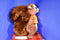 Fiesta Great Wolf Lodge Sammy Squirrel Plush