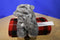 Plushies Grey and White Cat Plush Bag Purse