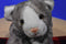 Plushies Grey and White Cat Plush Bag Purse