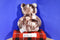 Build-A-Bear Baskin Robins Hot Fudge Sundae Teddy Bear Plush