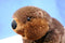 Wild Republic Beaver 2014 Beanbag Plush