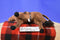 Only Hearts Club Coco Brown  Horse with Braids Poseable Plush