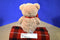 Gund Tan Teddy Bear With Red Bow Beanbag Plush