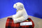 Aurora Miyoni Polar Bear Beanbag Plush