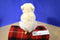 Aurora Miyoni Polar Bear Beanbag Plush