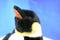 Douglas Waddles Emperor Penguin Plush