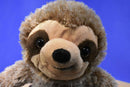 Dan Dee Brown Three Toe Sloth Plush