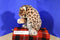 Leopard with Foam Head Plush