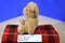 Gund Tan Teddy Bear 1985 Jointed Plush