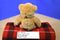 Gund Tan Teddy Bear 1985 Jointed Plush