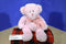 Circo Pink Teddy Bear Beanbag Plush