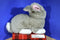Kids of America Gray and White Bunny Rabbit Plush