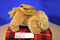 Aurora People Pals Buff Cocker Spaniel Bag Purse Plush