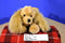 Aurora People Pals Buff Cocker Spaniel Bag Purse Plush