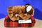 Wild Republic WWF Bengal Tiger Cub 2016 Beanbag Plush with Blue Eyes
