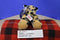 Aurora Wildlife Conservatory Cheetah Cub 2016 Plush