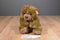 Ty Classic Magee the Brown Bear 1998 Beanbag Plush