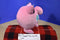 Tomy Fairy Pokemon Jigglypuff 2017 Plush