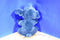 Disney Store Stitch Alien Beanbag Plush