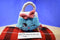 Just Play Moose Shopkins Blue Purse Handbag Harriet 2016 Beanbag Plush