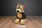 Build-a-Bear Paw Patrol Chase German Shepherd Dog Plush